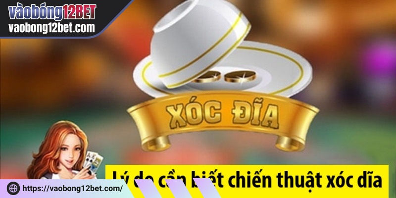 Tối ưu hóa lợi nhuận là lý do quan trọng giúp xóc dĩa trở nên phổ biến hơn