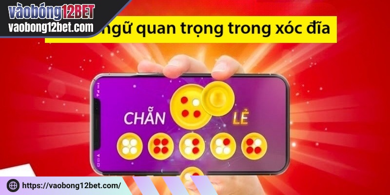 Đĩa xóc là thuật ngữ cơ bản nhất bạn cần biết khi tham gia chơi tại nhà cái