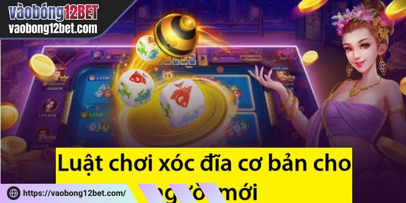 Luật chơi cơ bản cho người tham gia tiếp cận nhanh chóng khi cá cược