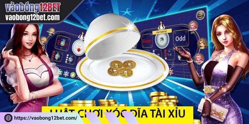 Luật xóc đĩa cho tân binh để nắm bắt trò chơi và thắng lớn mỗi ngày 