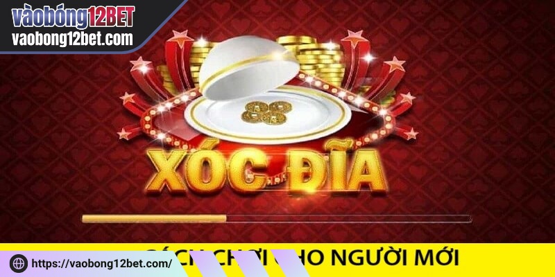 Cách thiết lập ván xóc chuẩn giúp người chơi nắm bắt trò chơi nhanh hơn