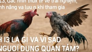 H13: Góc nhìn thực tế về trải nghiệm, tính năng và lưu ý khi tham gia